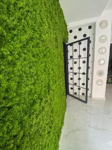 Suite 43 Terrasini Bagian luar foto